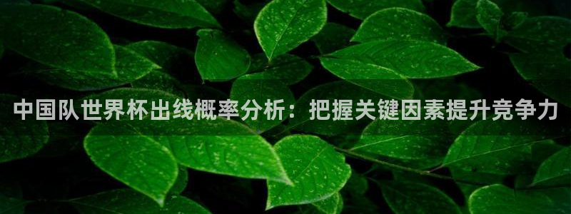 看世界杯:中国队世界杯出线概率分析:把握关键因素提升竞争力