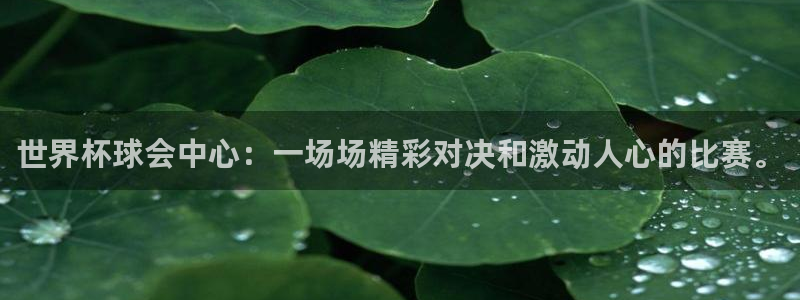 世界杯预选赛规则:世界杯球会中心:一场场精彩对决和激动人心的比赛。