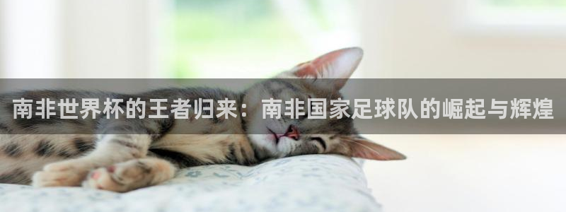 欧洲世预赛赛程表:南非世界杯的王者归来:南非国家足球队的崛起与辉煌