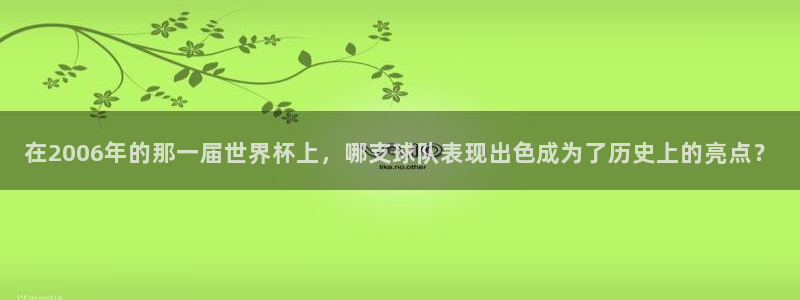 世界杯欧洲预选赛:在2006年的那一届世界杯上,哪支球队表现出色成为了历史上的亮点?