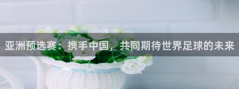 世界杯:亚洲预选赛:携手中国,共同期待世界足球的未来