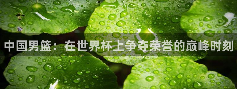今年的世界杯:中国男篮:在世界杯上争夺荣誉的巅峰时刻