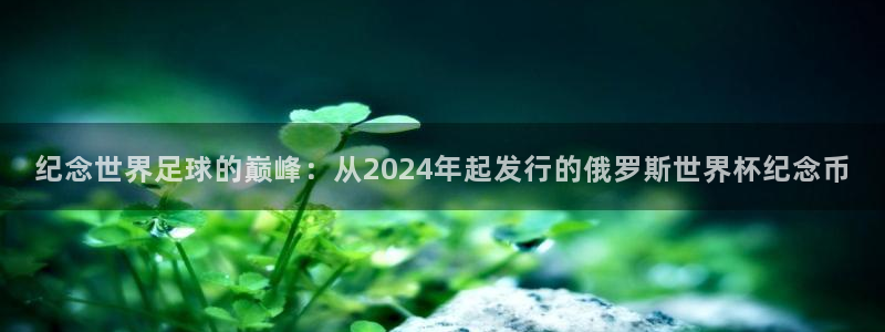 世界杯比赛直播:纪念世界足球的巅峰:从2024年起发行的俄罗斯世界杯纪念币